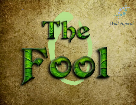 0 - The Fool