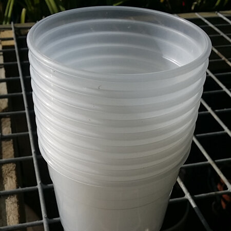 10 X 12cm Diameter Transparent Orchid Pots