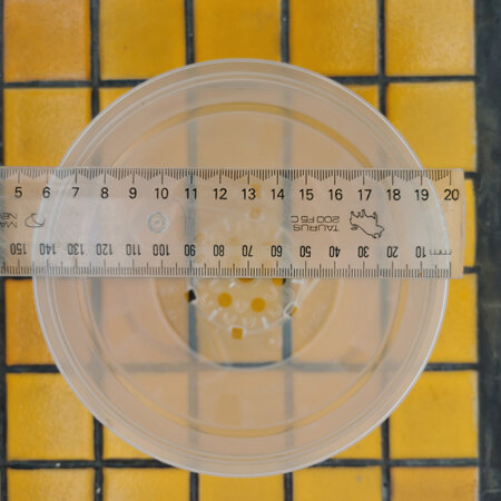 10 X 15cm Diameter Transparent Orchid Pots