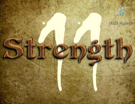 11 - Strength