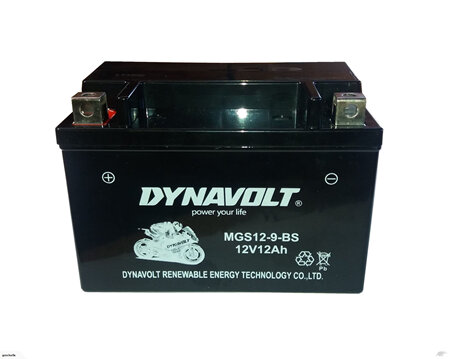 12V 12AH Dynavolt Battery
