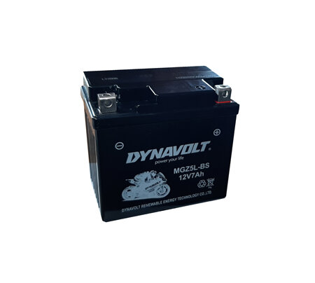 12V 7AH Dynavolt Battery