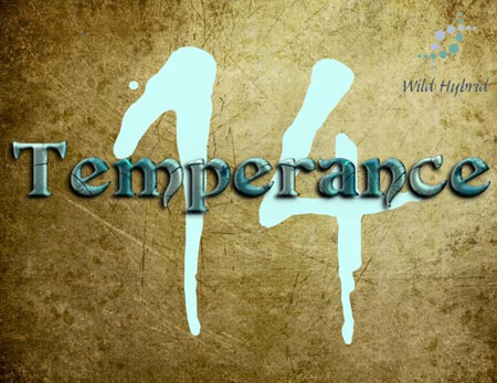14 - Temperance
