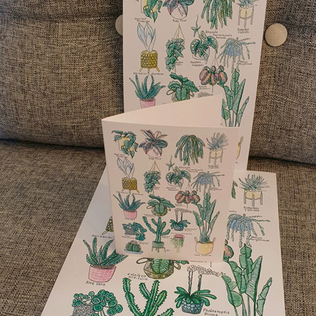 17 Indoor Plants A4 Print