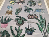 17 Indoor Plants Colourway