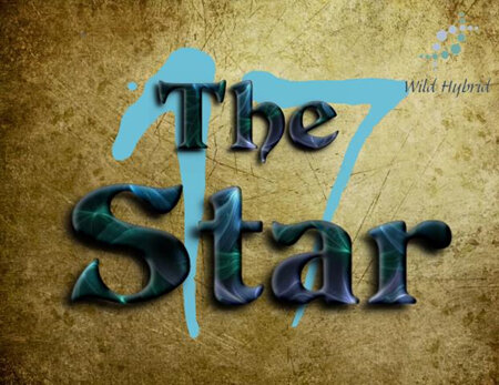 17 - The Star