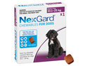 1pk NEXGARD chew for dogs 10.1-25 kg