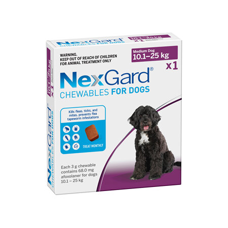 1pk NEXGARD chew for dogs 10.1-25 kg