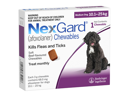 1pk NEXGARD chew for dogs 10.1-25 kg