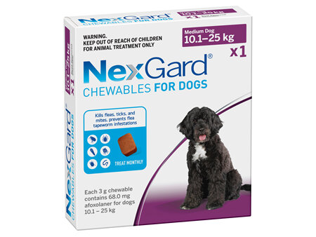 1pk NEXGARD chew for dogs 10.1-25 kg