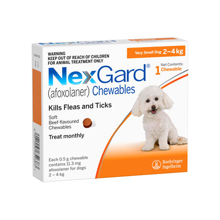 1pk NEXGARD chew for dogs 2-4 kg