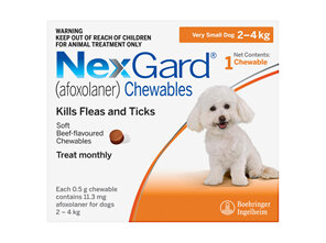 1pk NEXGARD chew for dogs 2-4 kg