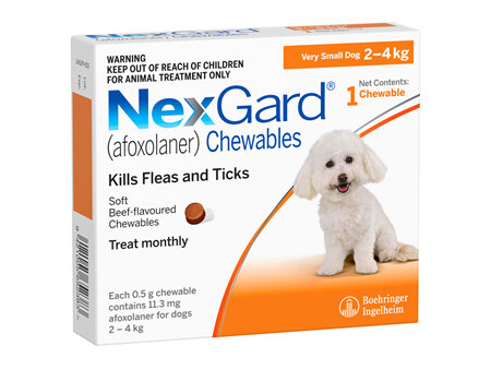 1pk NEXGARD chew for dogs 2-4 kg