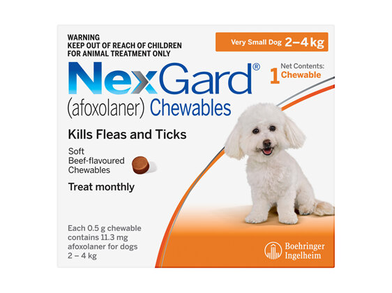 1pk NEXGARD chew for dogs 2-4 kg