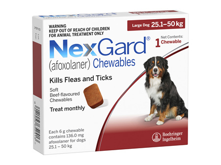 1pk NEXGARD chew for dogs 25.1-50 kg