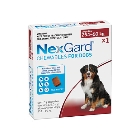 1pk NEXGARD chew for dogs 25.1-50 kg