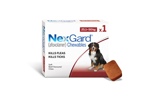 1pk NEXGARD chew for dogs 25.1-50 kg