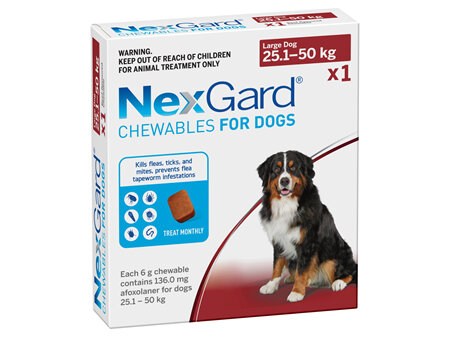 1pk NEXGARD chew for dogs 25.1-50 kg