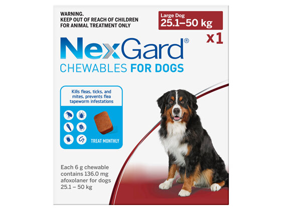 1pk NEXGARD chew for dogs 25.1-50 kg