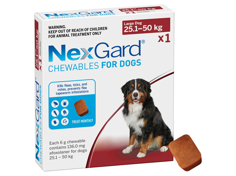 1pk NEXGARD chew for dogs 25.1-50 kg