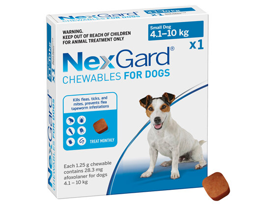 1pk NEXGARD chew for dogs 4.1-10 kg