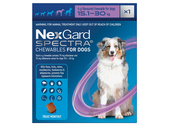 1pk NEXGARD SPECTRA chew for dogs 15.1-30 kg