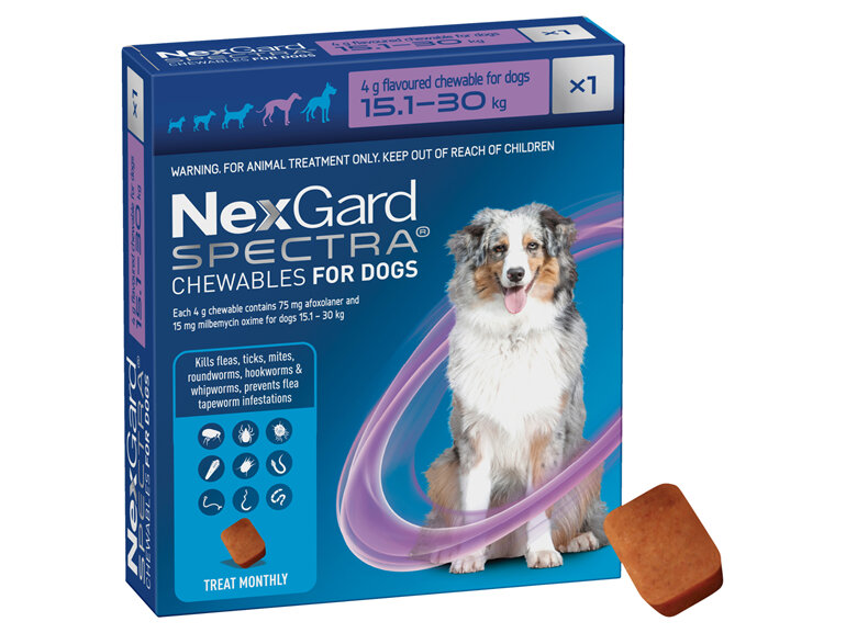 1pk NEXGARD SPECTRA chew for dogs 15.1-30 kg