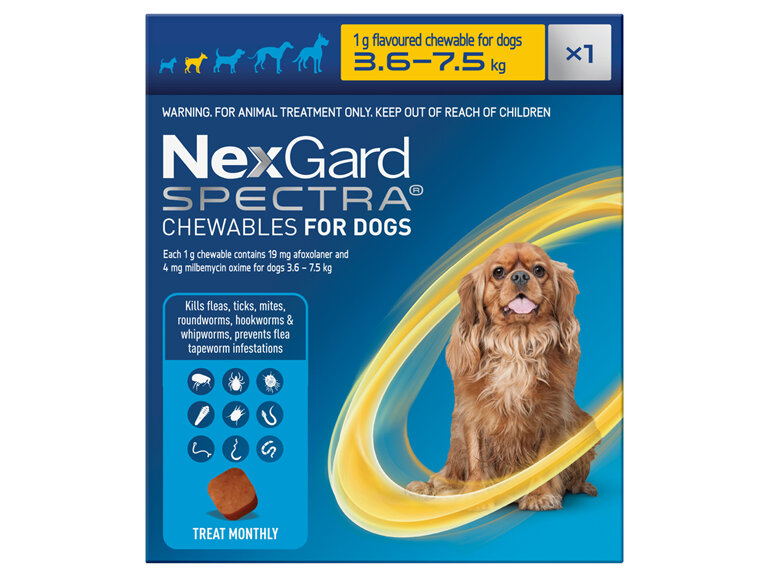 1pk NEXGARD SPECTRA chew for dogs 3.6-7.5 kg