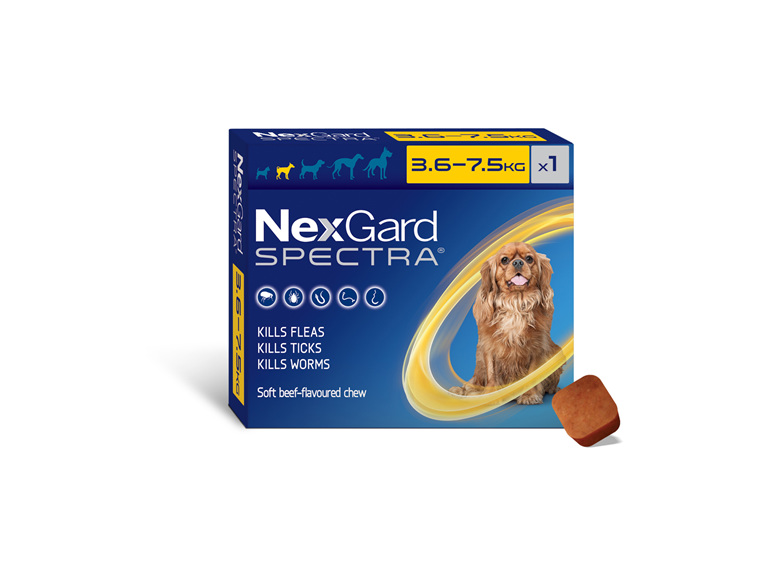 1pk NEXGARD SPECTRA chew for dogs 3.6-7.5 kg