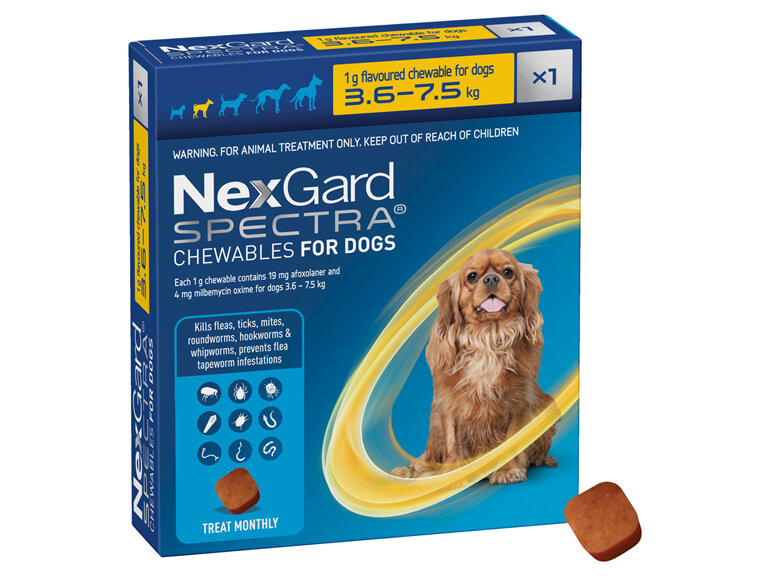 1pk NEXGARD SPECTRA chew for dogs 3.6-7.5 kg