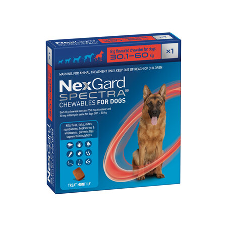 1pk NEXGARD SPECTRA chew for dogs 30.1-60 kg