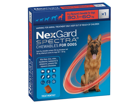 1pk NEXGARD SPECTRA chew for dogs 30.1-60 kg