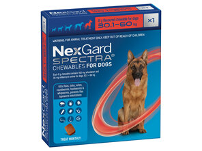 1pk NEXGARD SPECTRA chew for dogs 30.1-60 kg