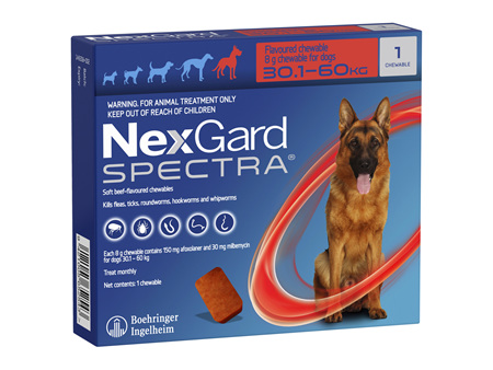 1pk NEXGARD SPECTRA chew for dogs 30.1-60 kg