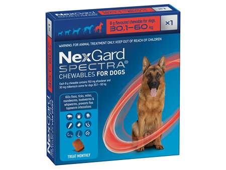 1pk NEXGARD SPECTRA chew for dogs 30.1-60 kg