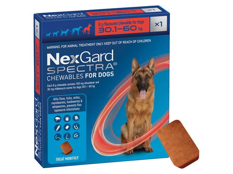 1pk NEXGARD SPECTRA chew for dogs 30.1-60 kg