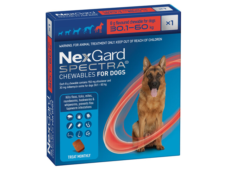 1pk NEXGARD SPECTRA chew for dogs 30.1-60 kg