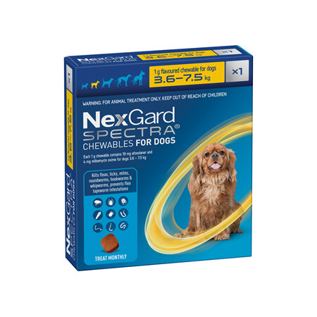 1pk NEXGARD SPECTRA chew for dogs 3.6-7.5 kg