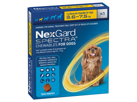 1pk NEXGARD SPECTRA chew for dogs 3.6-7.5 kg