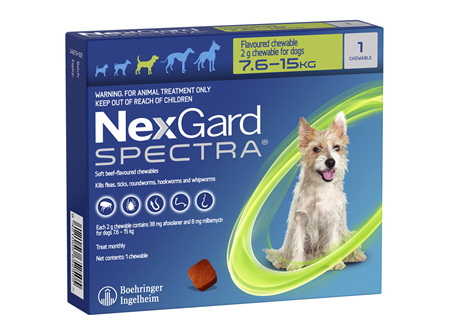 1pk NEXGARD SPECTRA chew for dogs 7.6-15kg