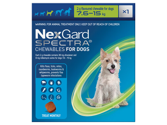 1pk NEXGARD SPECTRA chew for dogs 7.6-15kg