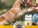 1pk Simparica Chew for Dogs 1.3 to 2.5kg treats fleas, ticks & mites