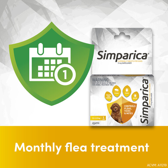 1pk Simparica Chew for Dogs 1.3 to 2.5kg treats fleas, ticks & mites