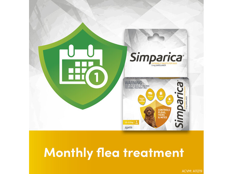 1pk Simparica Chew for Dogs 1.3 to 2.5kg treats fleas, ticks & mites