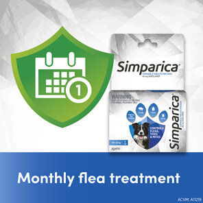 1pk Simparica Chew for Dogs 10 to 20kg treats fleas, ticks & mites