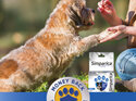 1pk Simparica Chew for Dogs 10 to 20kg treats fleas, ticks & mites