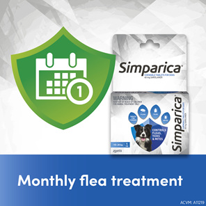 *1pk Simparica Chew for Dogs 10 to 20kg treats fleas, ticks & mites*