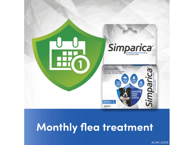 1pk Simparica Chew for Dogs 10 to 20kg treats fleas, ticks & mites