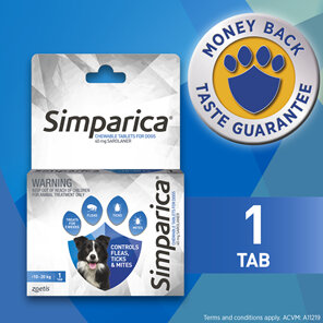 1pk Simparica Chew for Dogs 10 to 20kg treats fleas, ticks & mites