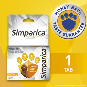 *1pk Simparica Chew for Dogs 1.3 to 2.5kg treats fleas, ticks & mites*